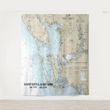 Estero Bay to Lemon Bay Nautical Chart 11426