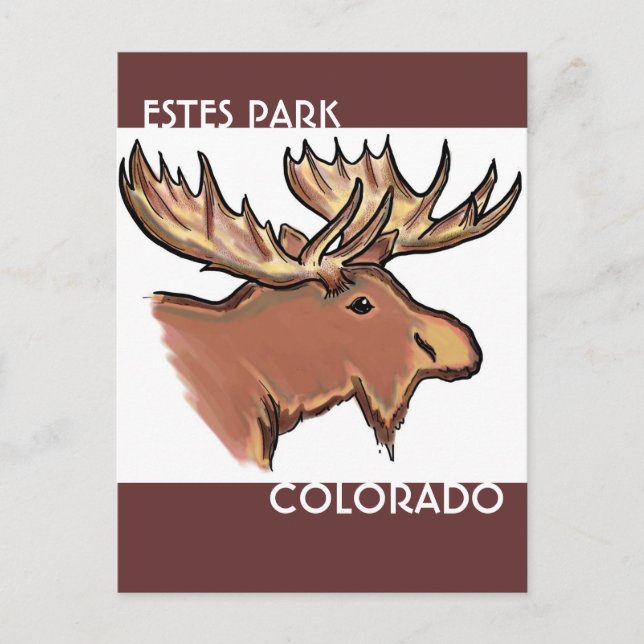 Estes Park Colorado brown moose postcard (Front)