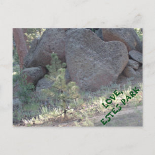 ESTES PARK LOVE. POSTCARD