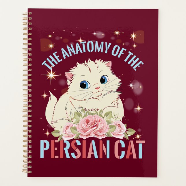 esthétique du chat, L'anatomie du chat perse (Devant)