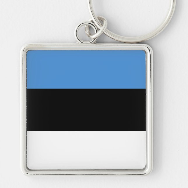 Estonia Flag EE Keychain (Front)