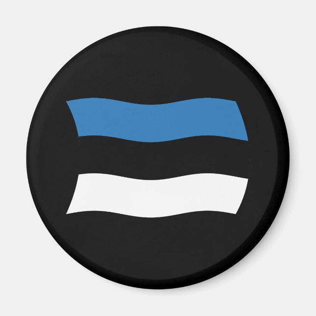 Estonia Flag Magnet (Front)