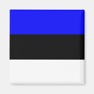 Estonia High quality Flag Magnet