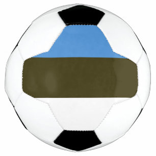 estonia soccer ball