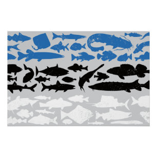 Estonian Flag Made of Fish – Fishing Design Poster