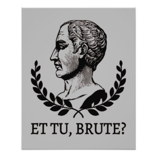 Et Tu, Brute? Shakespeare's Julius Caesar Quote V Photo Print