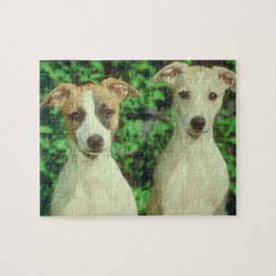 Étain et puzzle de chien de whippet