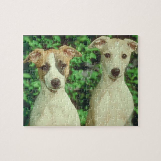 Étain et puzzle de chien de whippet (Horizontal)