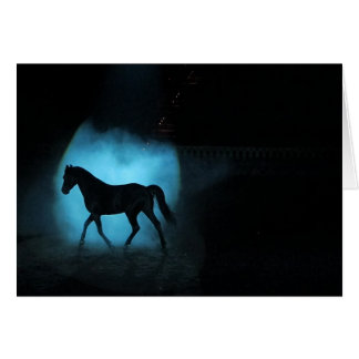 Étalon Arabe noir