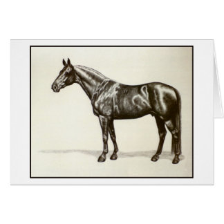 Étalon de Trakehner