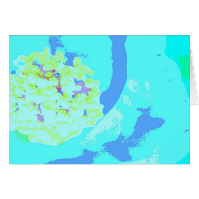 étamine. un (Devant horizontal)
