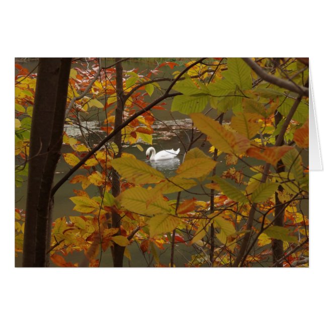 Étang d'automne avec cygne (Devant horizontal)