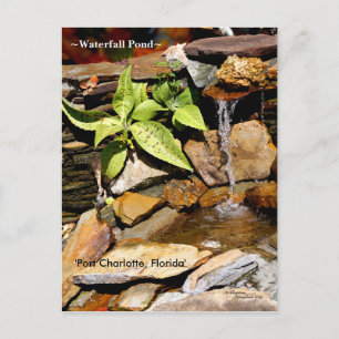 Etang de cascade Port Charlotte FL Carte postale