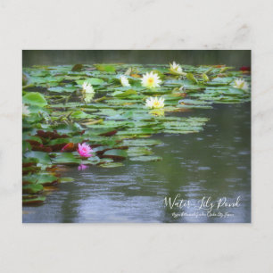 Etang Lily : Carte postale