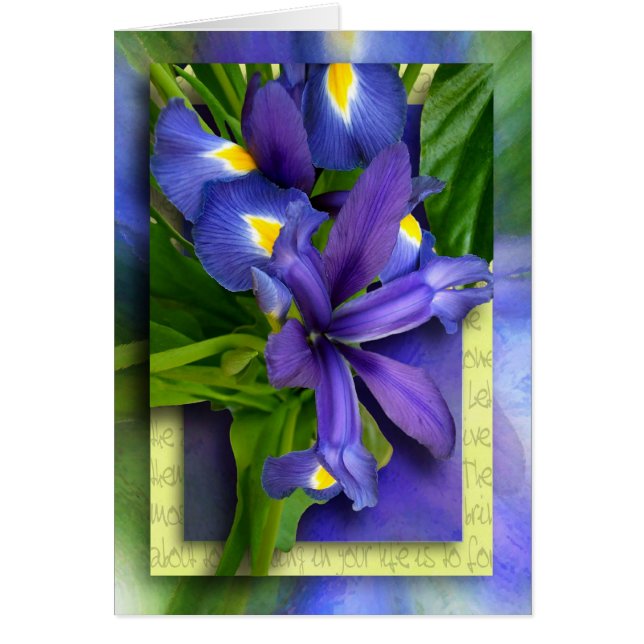 Étapes à la rémission (Devant)