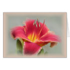 État d'esprit de Lily - Daylily