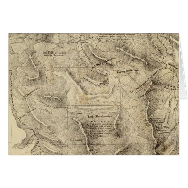 États-Unis 39 (Devant horizontal)