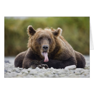 États-Unis, Alaska, Parc national de Katmai, baie 