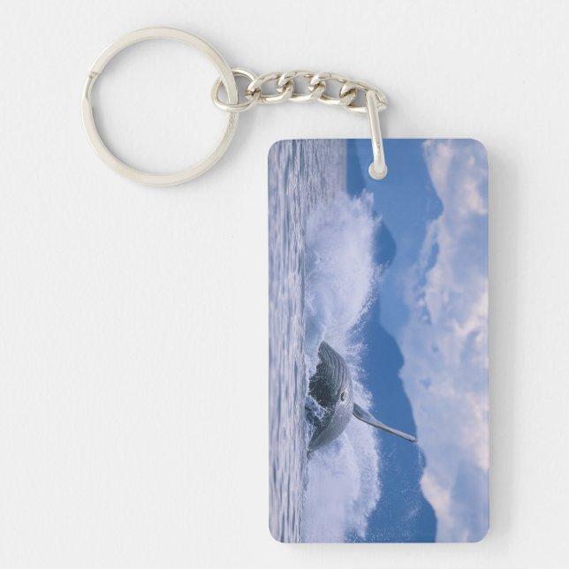 États-Unis, Alaska, Tongass National Forest, Humpb (Devant)