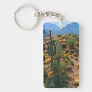États-Unis, Arizona. Desert View