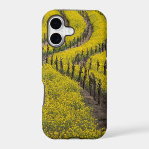 États-Unis, Californie, Napa Valley, Los Carneros