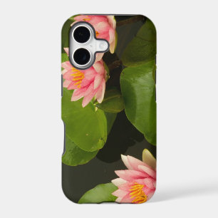 États-Unis, DC, Washington, Kenilworth 4