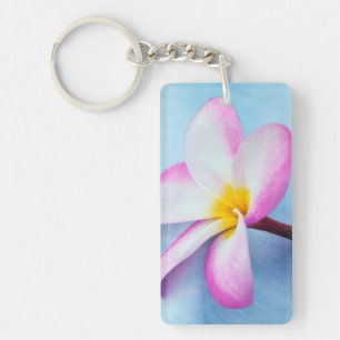États-Unis, Hawaï, Oahu, fleurs de Plumeria en fle