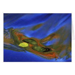 États-Unis, Michigan, Haute Péninsule, feuille de 