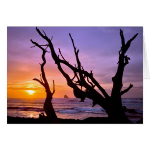 États-Unis, Oregon, Cape Meares. Coucher de soleil