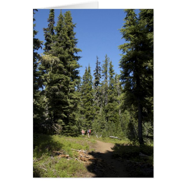 États-Unis, Oregon, Forêt nationale de Willamette, (Devant)