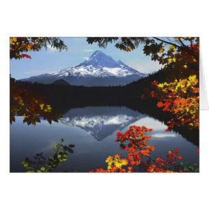 États-Unis, Oregon, Forêt nationale du mont Hood.