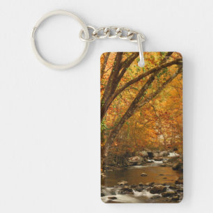 États-Unis, Tennessee. Rushing Mountain Creek 3