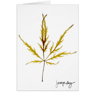 "Etched Leaf" by J. Maya Luz