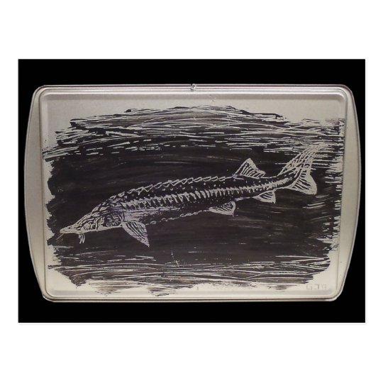 Etching - Sterlet Sturgeon Postcard