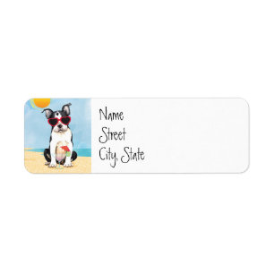 Été Boston Terrier