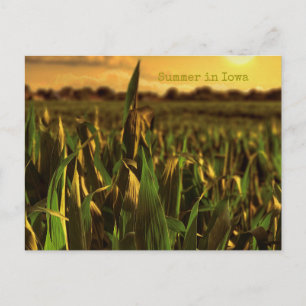 Été en Iowa Carte postale