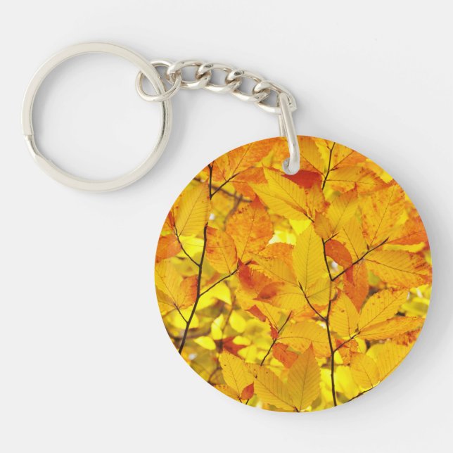 Été indien de la Saint-Martin, feuille jaune (Devant)