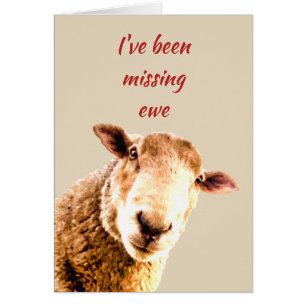 Été Manquant Ewe drôle Mouton Humour animal