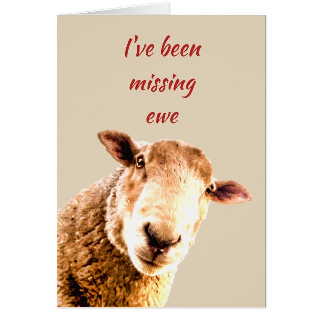Été Manquant Ewe drôle Mouton Humour animal (Devant)