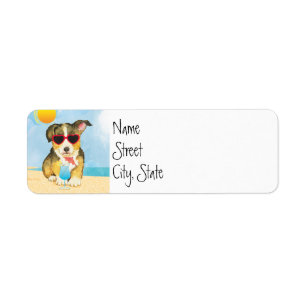 Été Pembroke Welsh Corgi