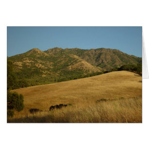 Été sur Mt. Diablo, CA
