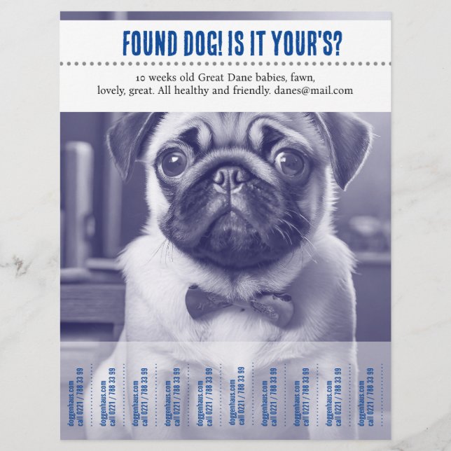 Éteindre le prospectus de vente trouvé (Devant)