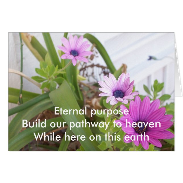 Eternal Purpose Prpl Daisies (Front Horizontal)