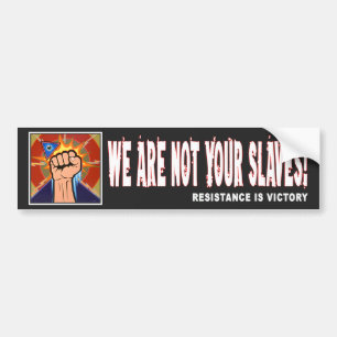 "Eternal Vigilance" Bumper Sticker #2
