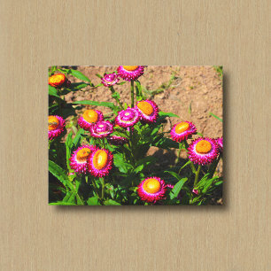Éternel dans une impression sur toile de jardin de
