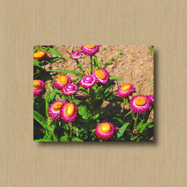 Éternel dans une impression sur toile de jardin de (Créateur téléchargé)