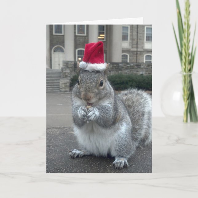 Éternuez la carte de Noël des écureuils (Devant)