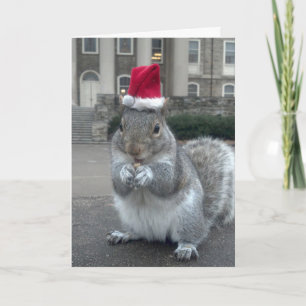 Éternuez la carte de Noël des écureuils