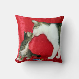 Êtes-Vous Mon Père Coussin