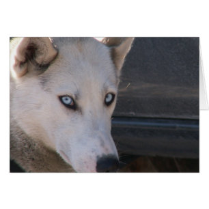 Êtes vous préparez